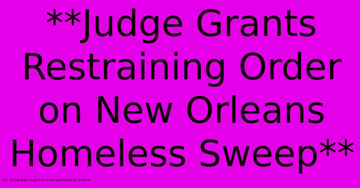 **Judge Grants Restraining Order On New Orleans Homeless Sweep** 