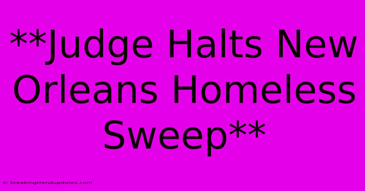 **Judge Halts New Orleans Homeless Sweep**