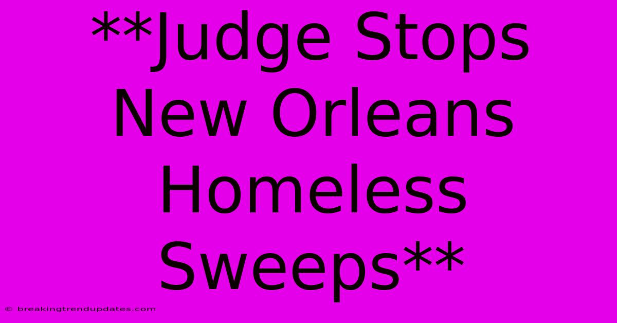 **Judge Stops New Orleans Homeless Sweeps** 