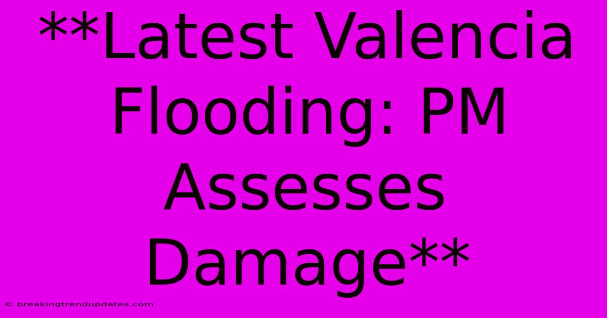 **Latest Valencia Flooding: PM Assesses Damage**