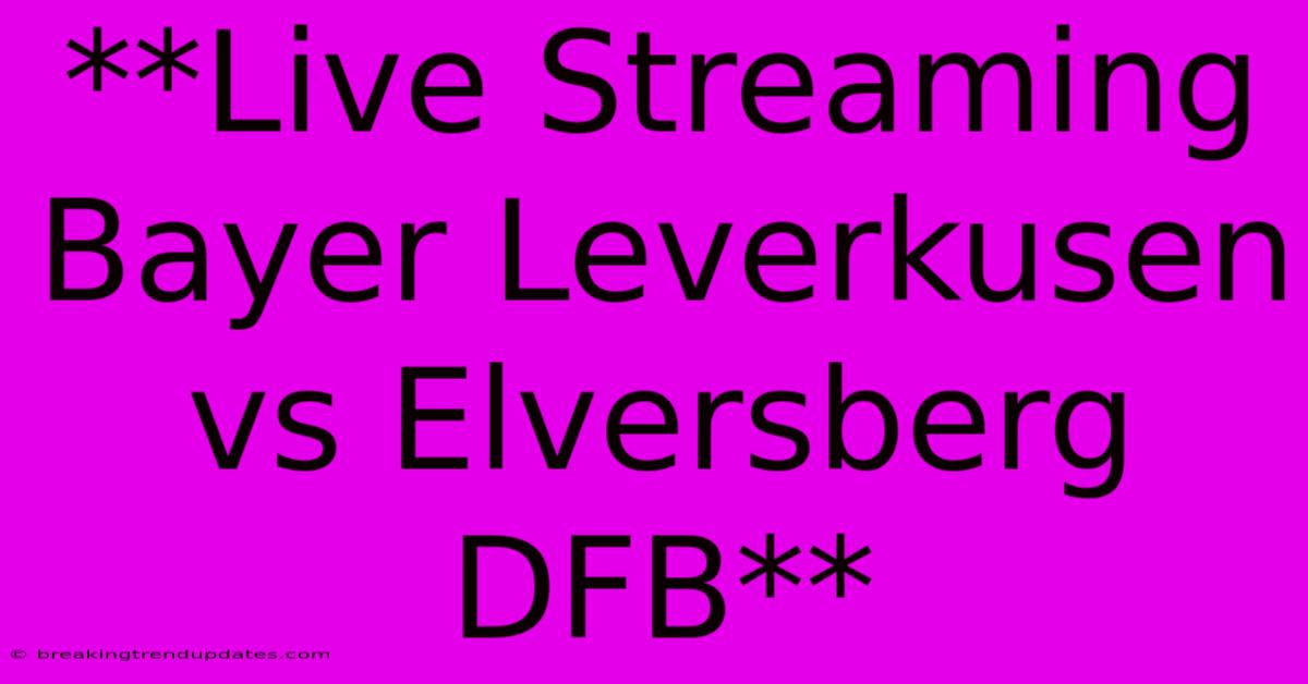 **Live Streaming Bayer Leverkusen Vs Elversberg DFB**