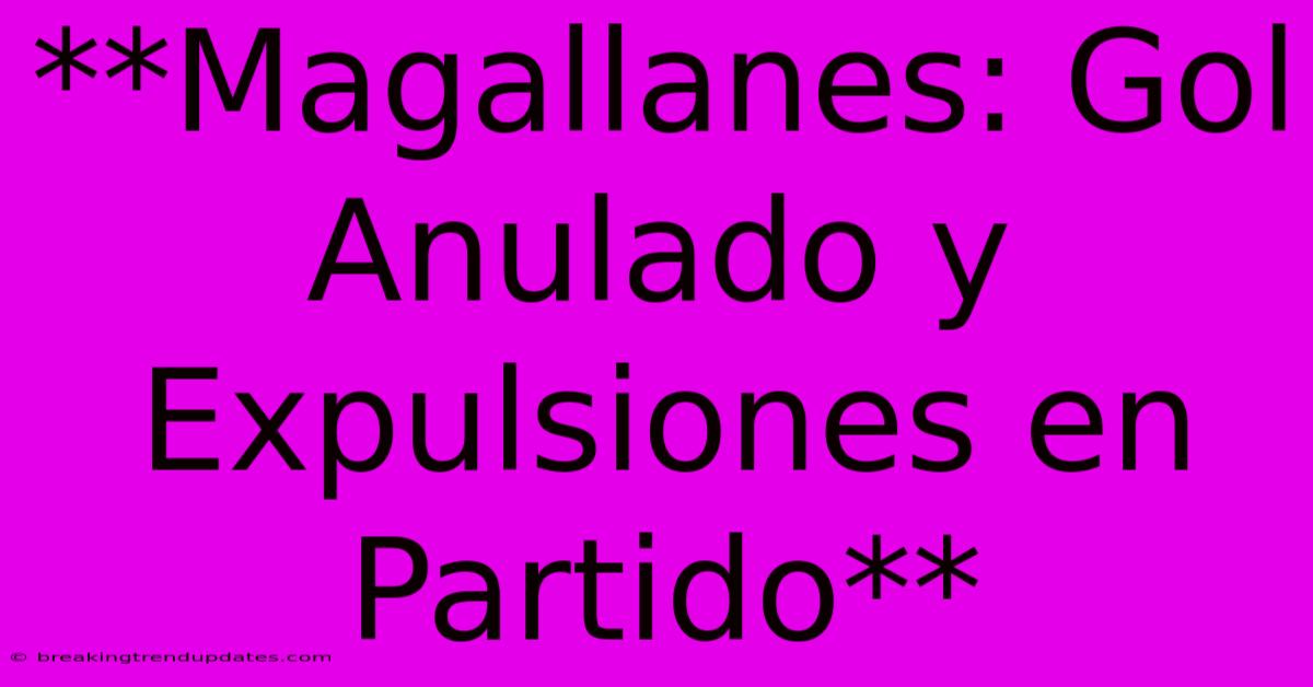 **Magallanes: Gol Anulado Y Expulsiones En Partido**