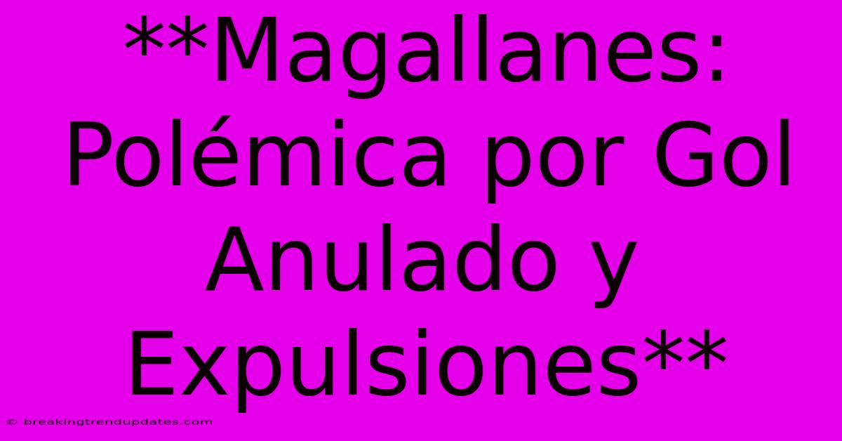 **Magallanes: Polémica Por Gol Anulado Y Expulsiones** 