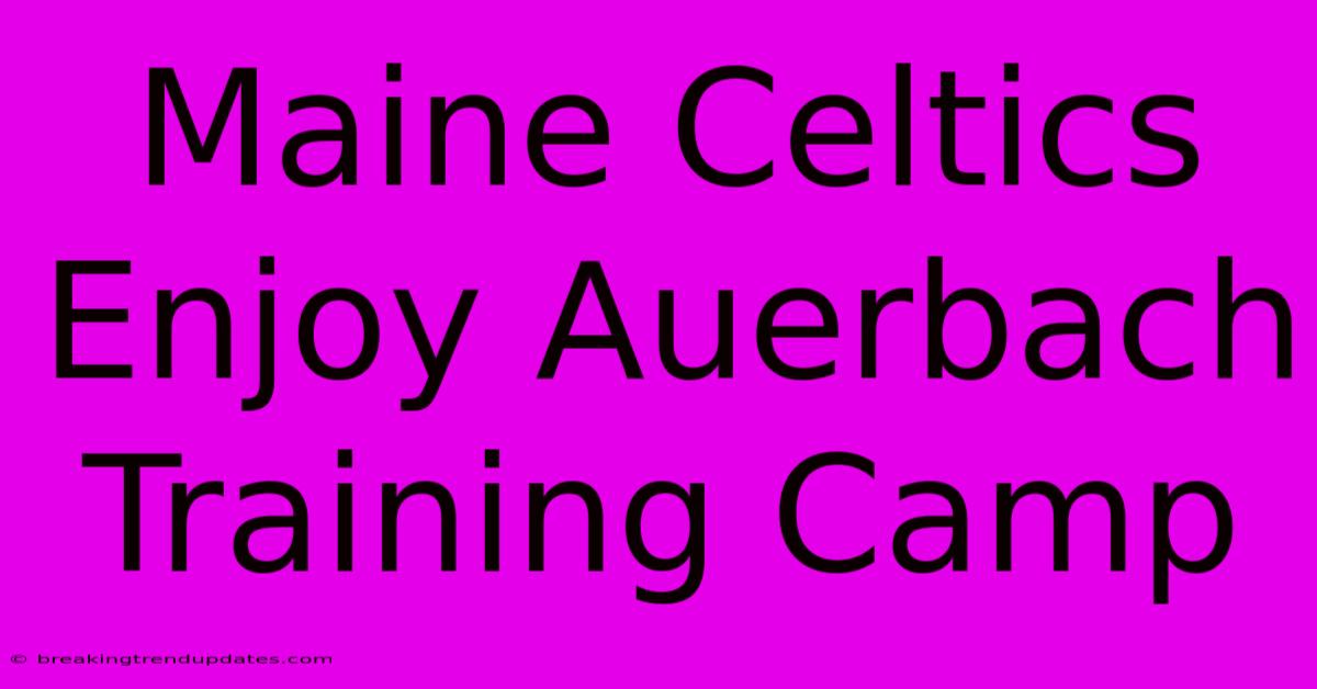 Maine Celtics Enjoy Auerbach Training Camp