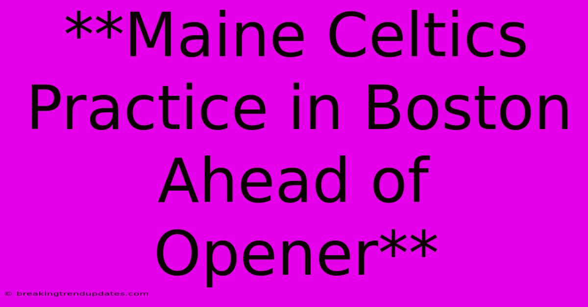 **Maine Celtics Practice In Boston Ahead Of Opener** **Maine Celtics Practice In Boston Ahead Of Opener**