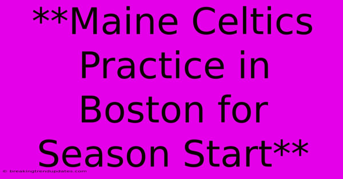 **Maine Celtics Practice In Boston For Season Start**