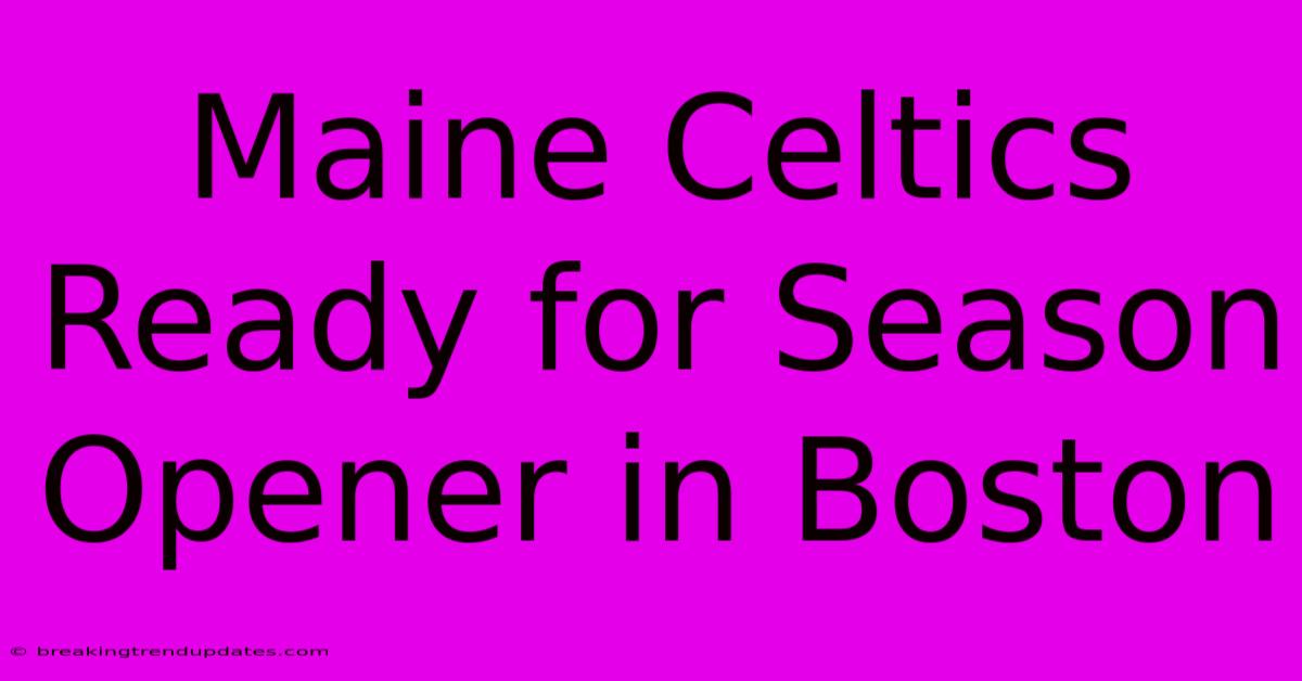 Maine Celtics Ready For Season Opener In Boston Maine Celtics Ready For Season Opener In Boston