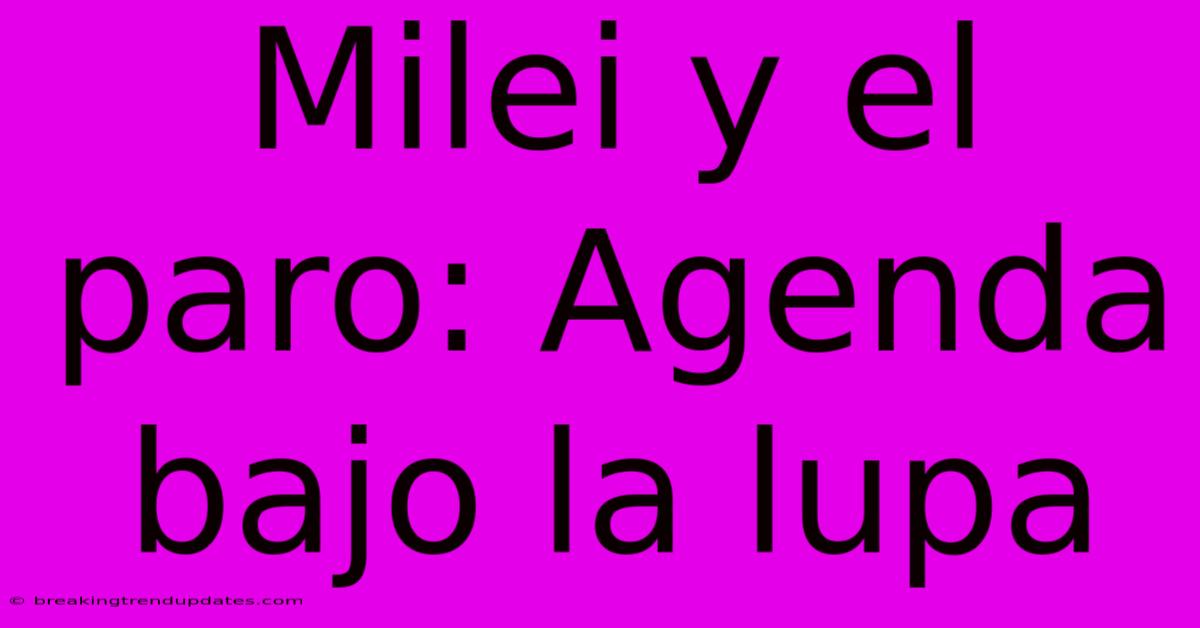 Milei Y El Paro: Agenda Bajo La Lupa