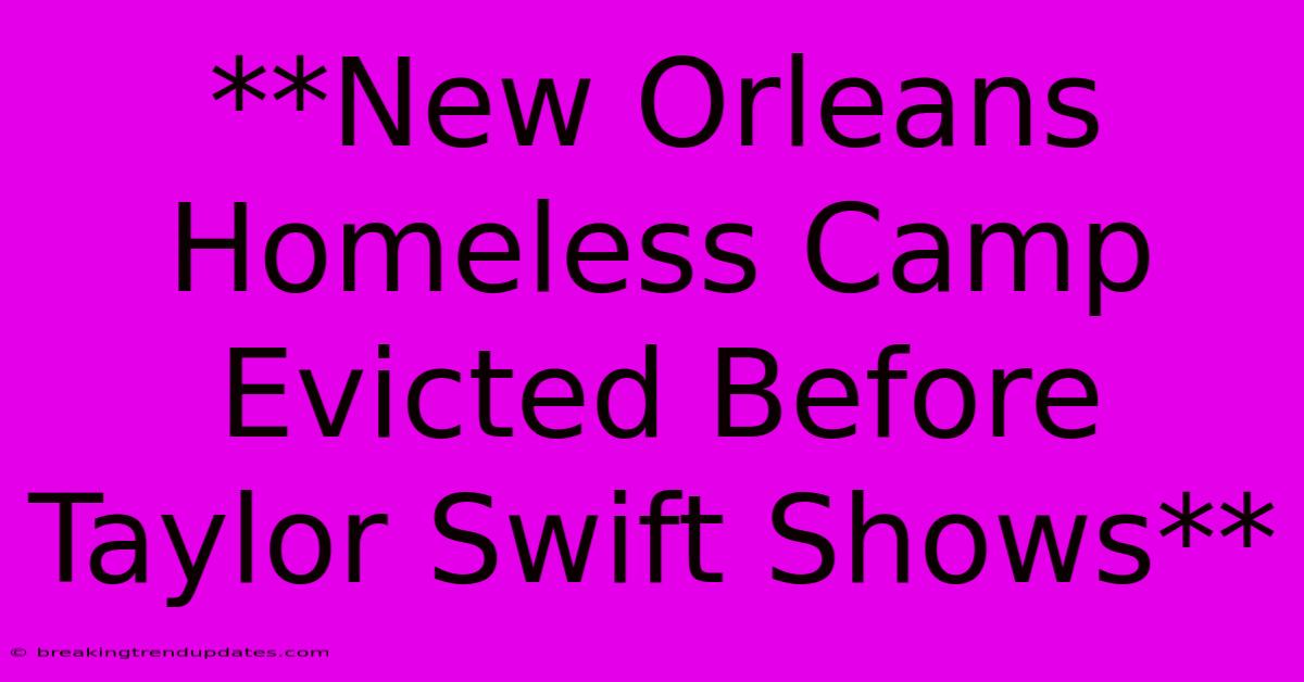 **New Orleans Homeless Camp Evicted Before Taylor Swift Shows** 
