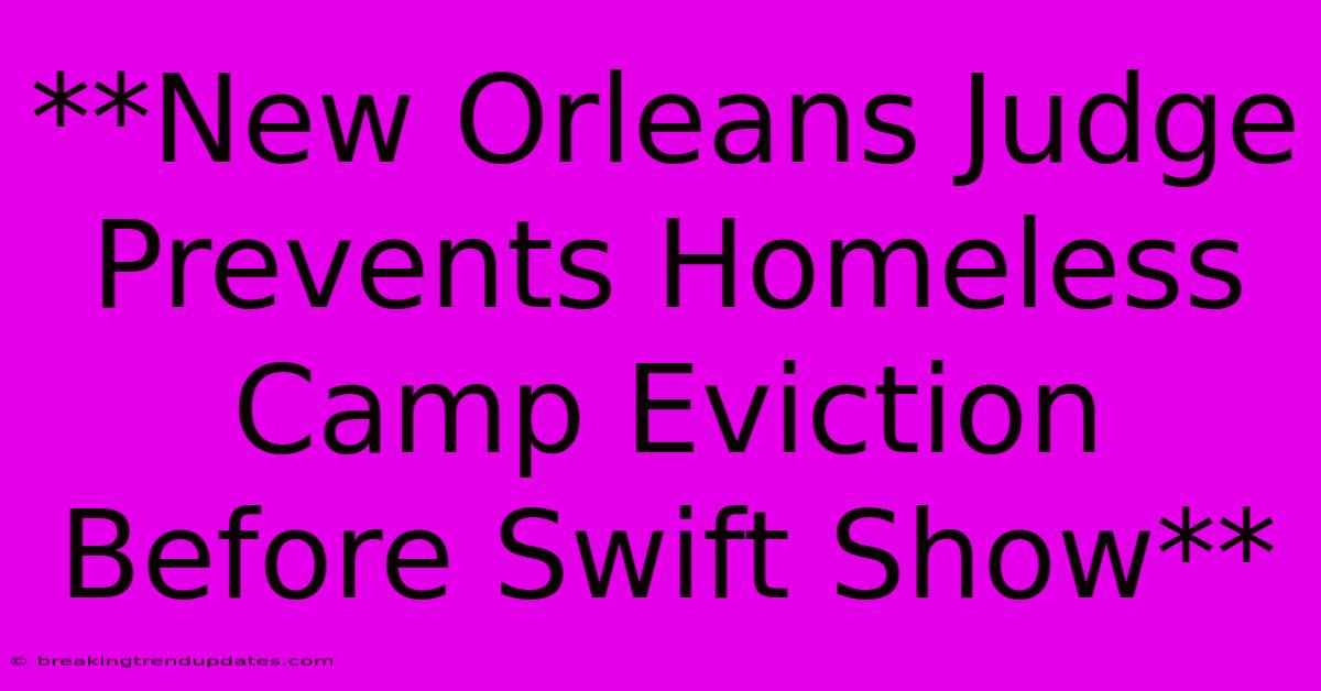 **New Orleans Judge Prevents Homeless Camp Eviction Before Swift Show**