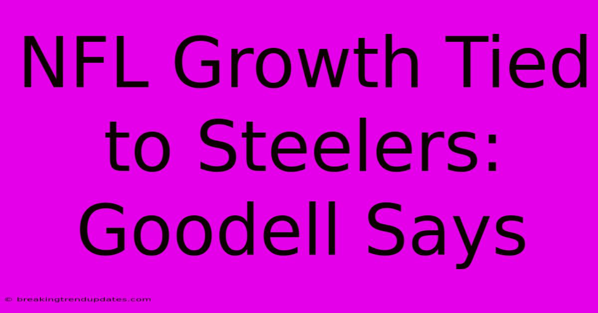 NFL Growth Tied To Steelers: Goodell Says