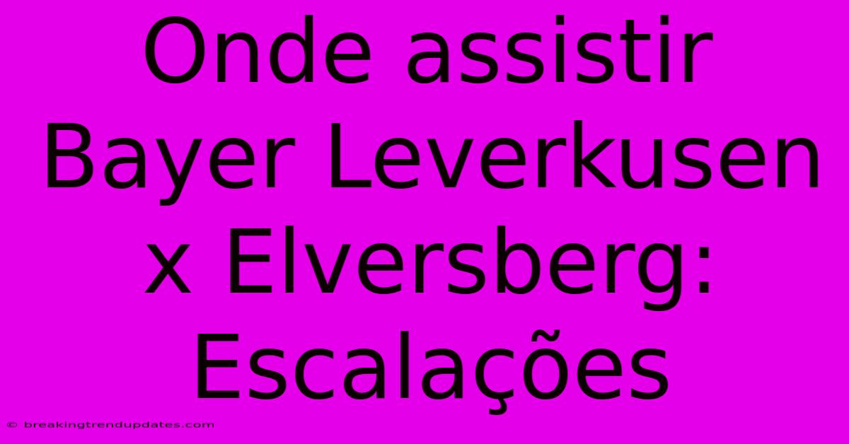 Onde Assistir Bayer Leverkusen X Elversberg: Escalações