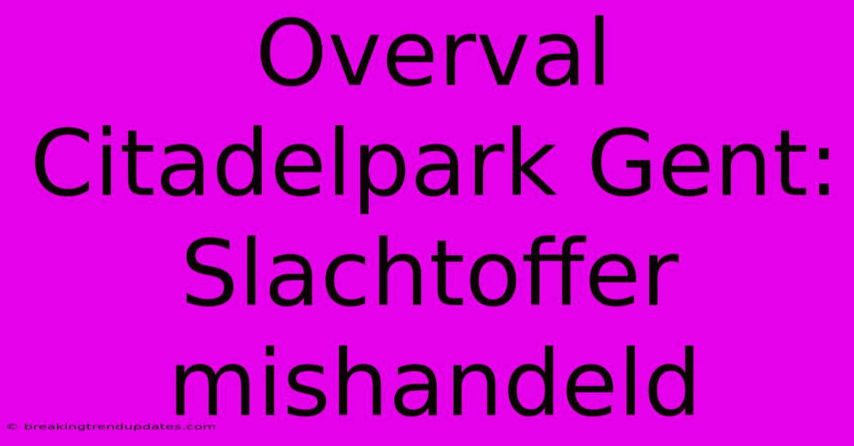 Overval Citadelpark Gent: Slachtoffer Mishandeld