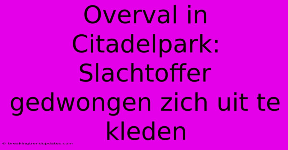 Overval In Citadelpark: Slachtoffer Gedwongen Zich Uit Te Kleden Overval In Citadelpark: Slachtoffer Gedwongen Zich Uit Te Kleden
