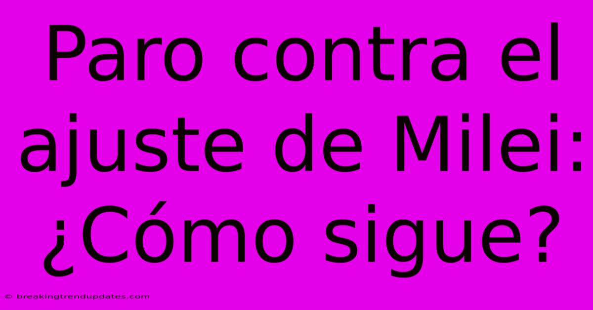 Paro Contra El Ajuste De Milei: ¿Cómo Sigue?