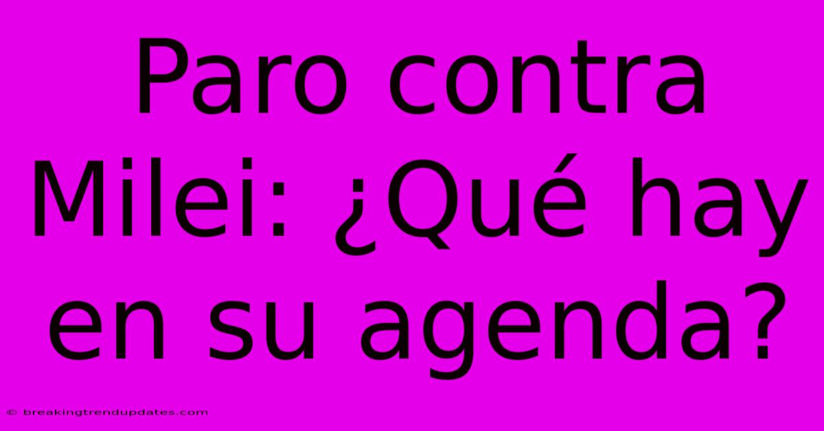 Paro Contra Milei: ¿Qué Hay En Su Agenda?