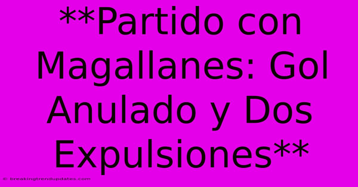 **Partido Con Magallanes: Gol Anulado Y Dos Expulsiones**