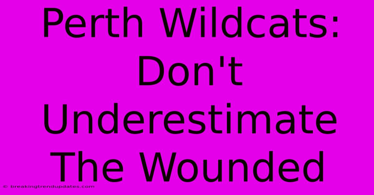 Perth Wildcats: Don't Underestimate The Wounded Perth Wildcats: Don't Underestimate The Wounded