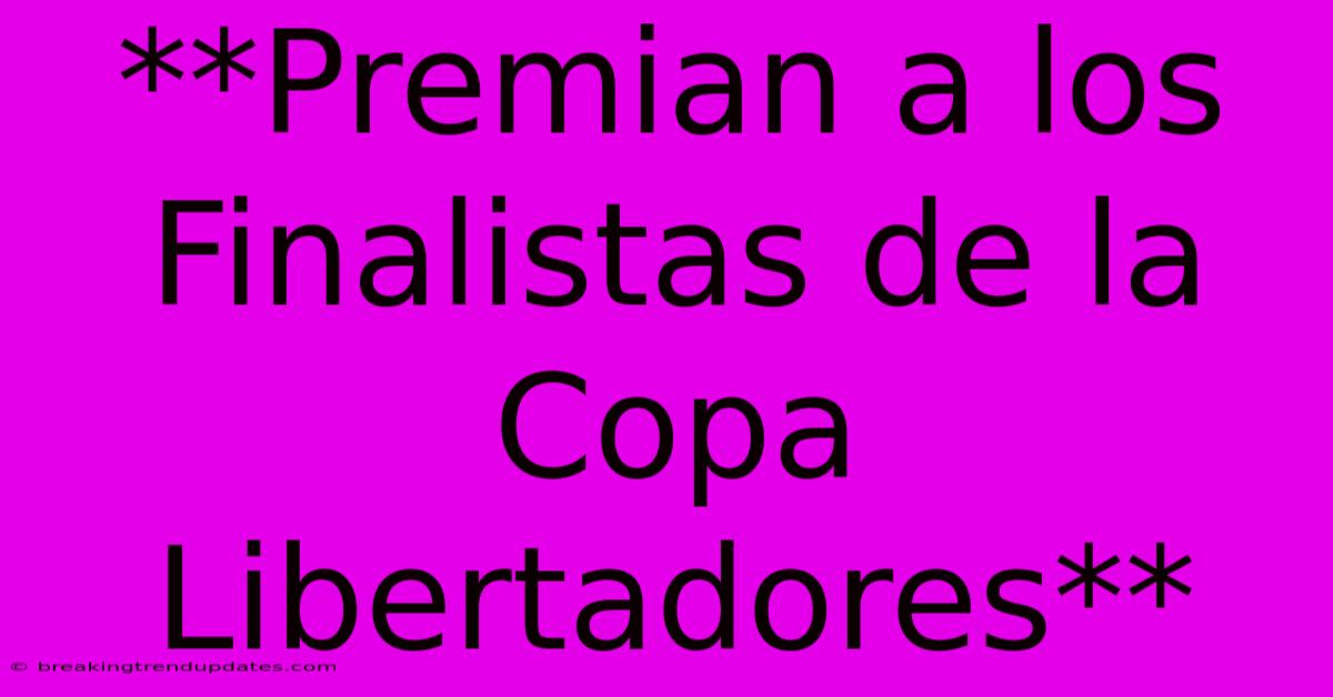 **Premian A Los Finalistas De La Copa Libertadores**