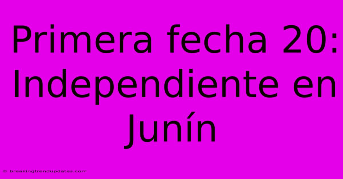 Primera Fecha 20: Independiente En Junín