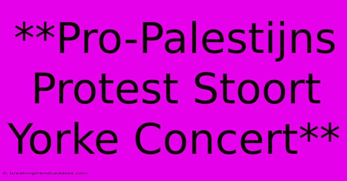 **Pro-Palestijns Protest Stoort Yorke Concert** **Pro-Palestijns Protest Stoort Yorke Concert**