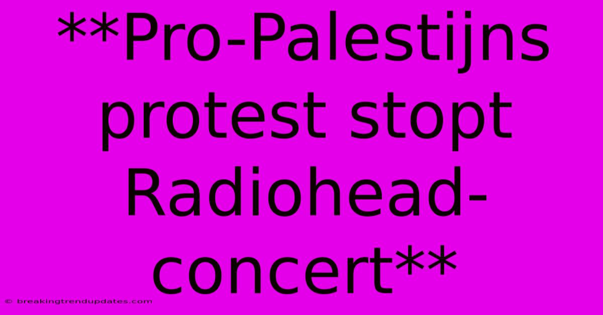 **Pro-Palestijns Protest Stopt Radiohead-concert**