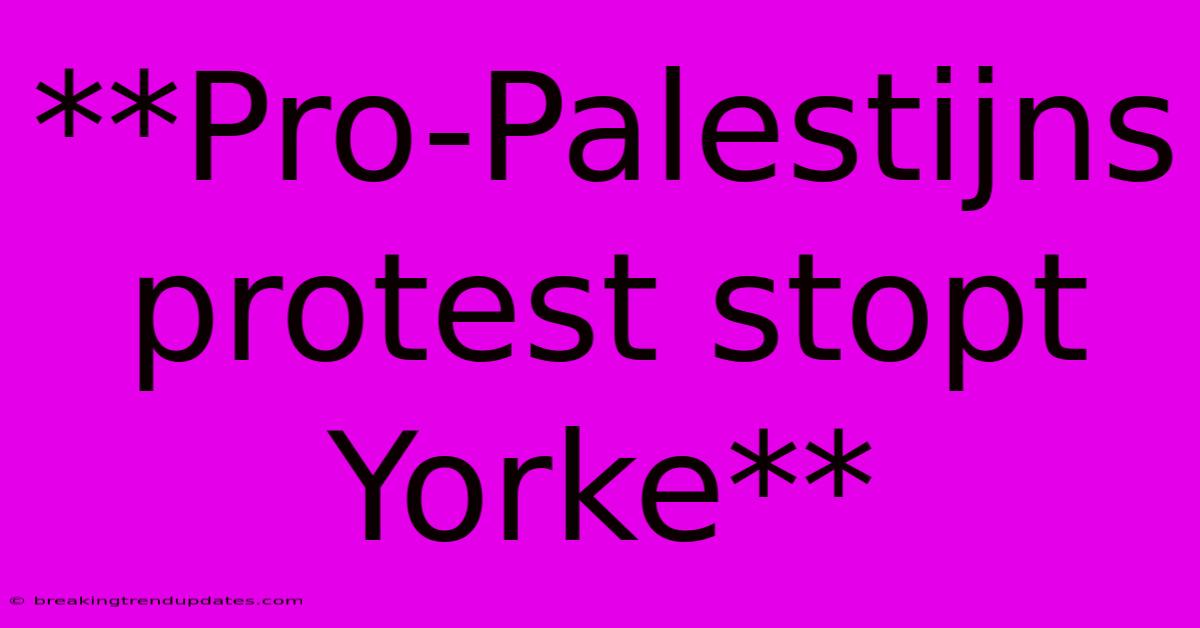 **Pro-Palestijns Protest Stopt Yorke**