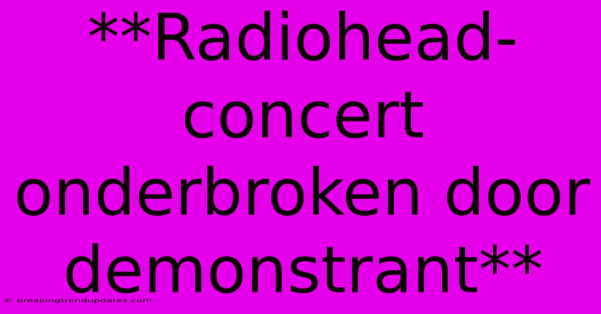 **Radiohead-concert Onderbroken Door Demonstrant**