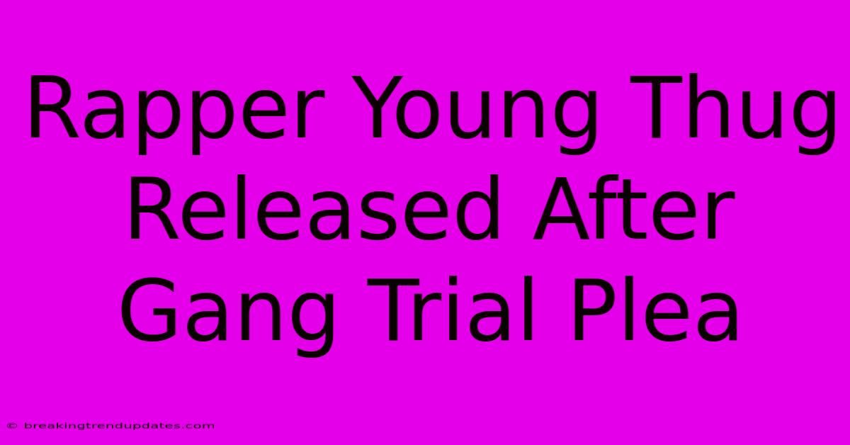 Rapper Young Thug Released After Gang Trial Plea Rapper Young Thug Released After Gang Trial Plea