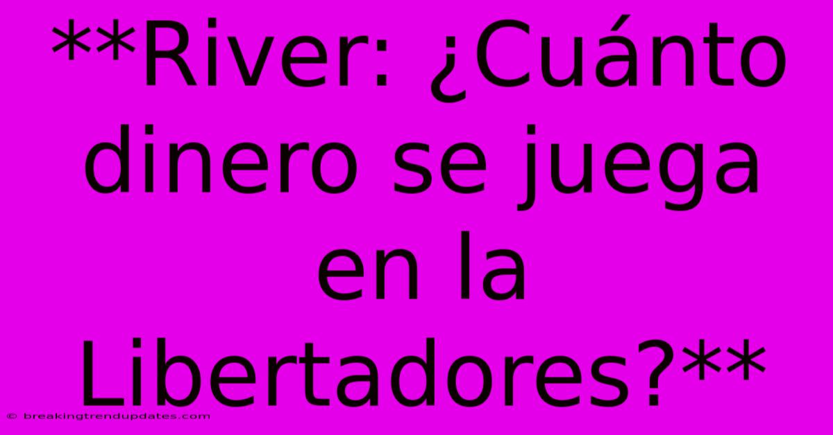 **River: ¿Cuánto Dinero Se Juega En La Libertadores?** 