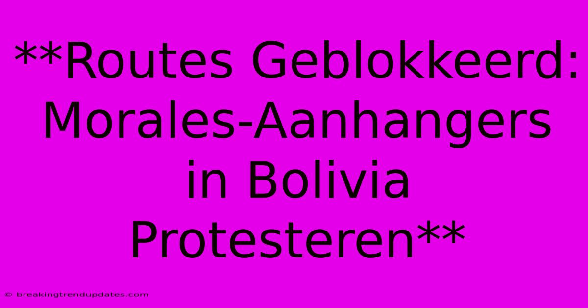 **Routes Geblokkeerd: Morales-Aanhangers In Bolivia Protesteren** 