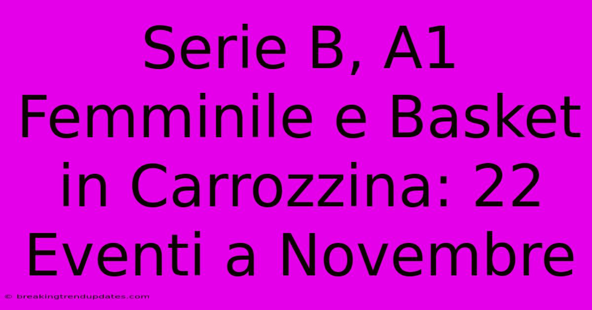 Serie B, A1 Femminile E Basket In Carrozzina: 22 Eventi A Novembre