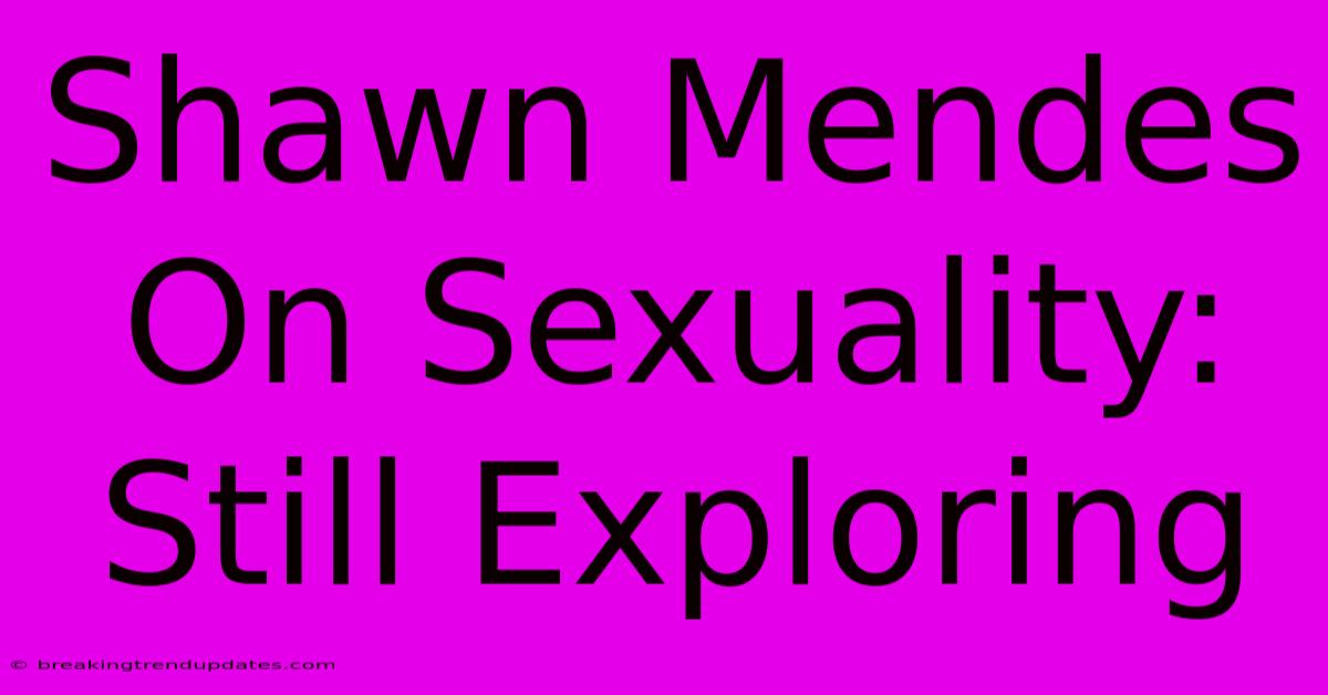 Shawn Mendes On Sexuality: Still Exploring