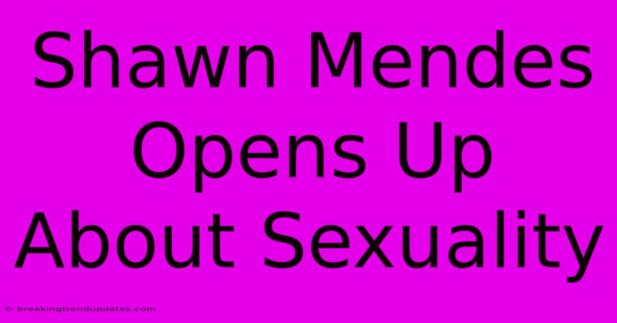 Shawn Mendes Opens Up About Sexuality