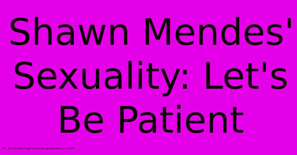 Shawn Mendes' Sexuality: Let's Be Patient