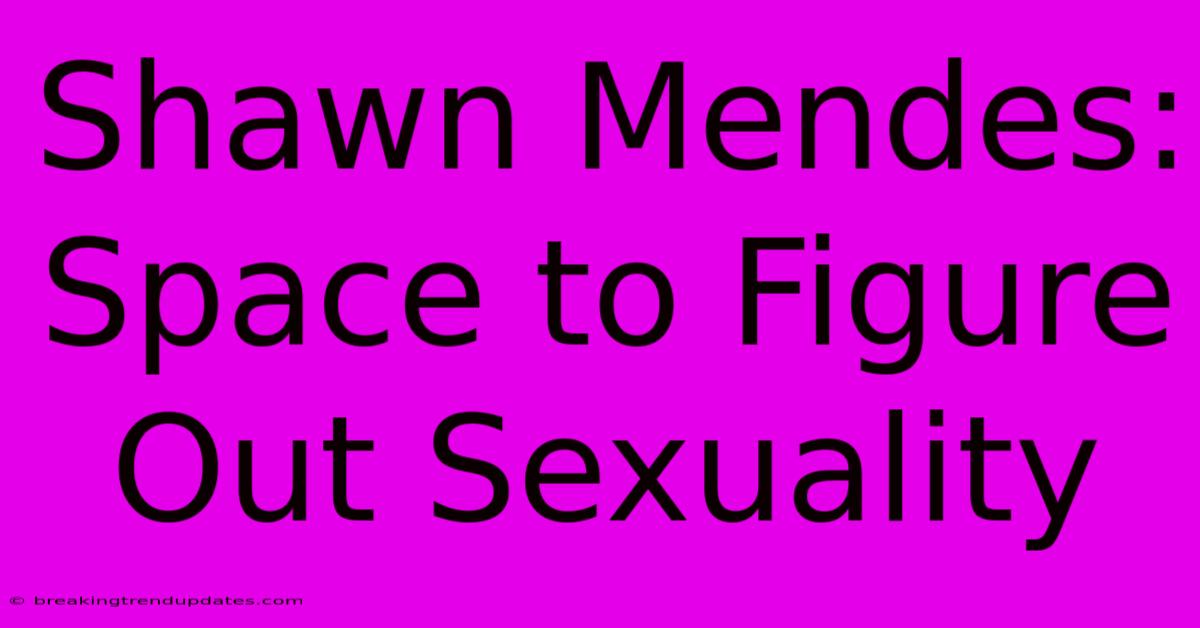 Shawn Mendes: Space To Figure Out Sexuality
