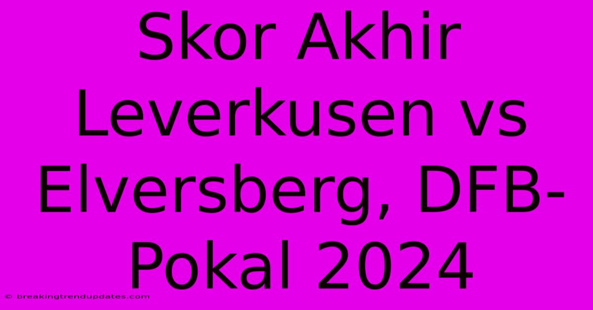 Skor Akhir Leverkusen Vs Elversberg, DFB-Pokal 2024 