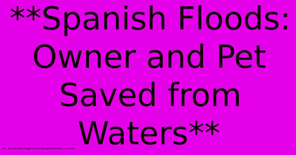**Spanish Floods: Owner And Pet Saved From Waters** 