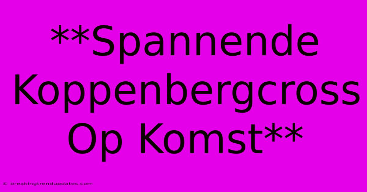 **Spannende Koppenbergcross Op Komst**