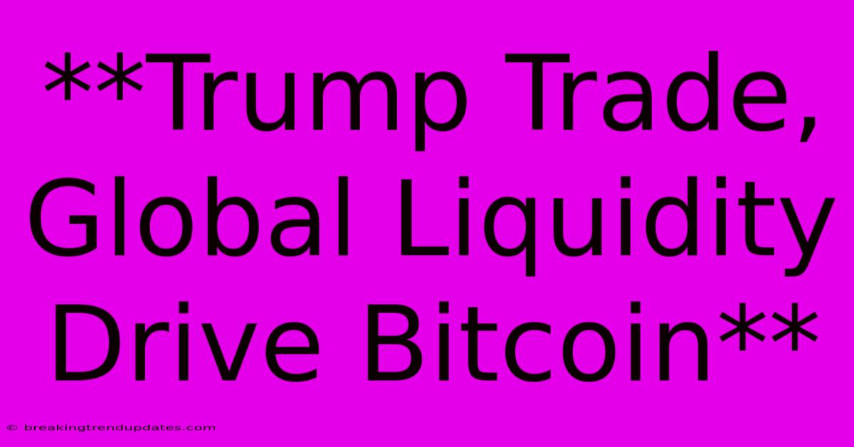**Trump Trade, Global Liquidity Drive Bitcoin**