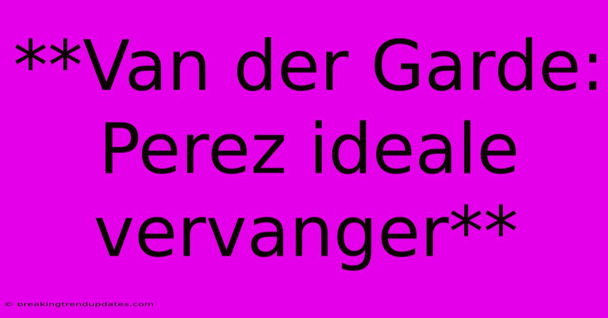 **Van Der Garde: Perez Ideale Vervanger** 