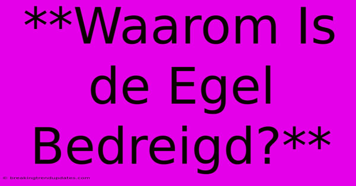 **Waarom Is De Egel Bedreigd?** **Waarom Is De Egel Bedreigd?**