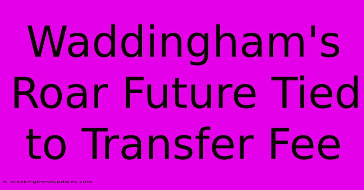 Waddingham's Roar Future Tied To Transfer Fee Waddingham's Roar Future Tied To Transfer Fee