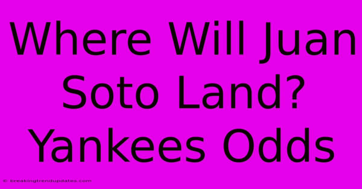 Where Will Juan Soto Land? Yankees Odds Where Will Juan Soto Land? Yankees Odds