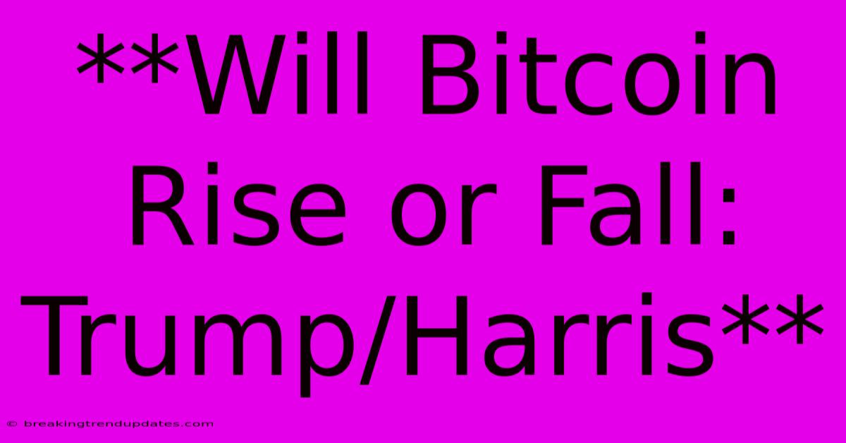 **Will Bitcoin Rise Or Fall: Trump/Harris**