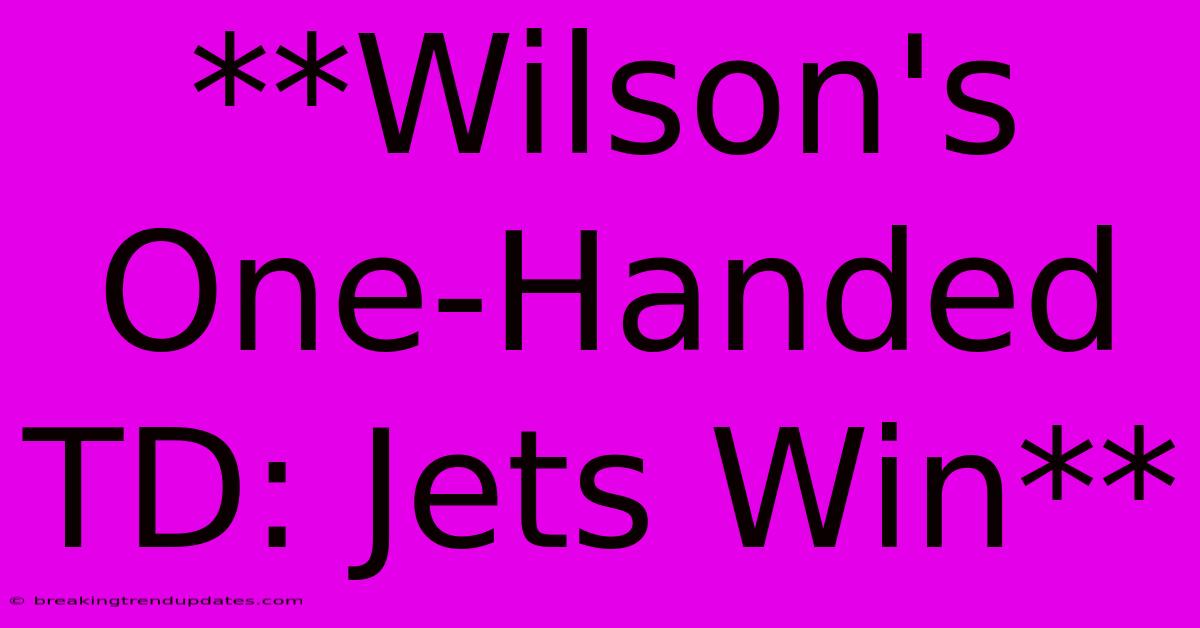 **Wilson's One-Handed TD: Jets Win** **Wilson's One-Handed TD: Jets Win**