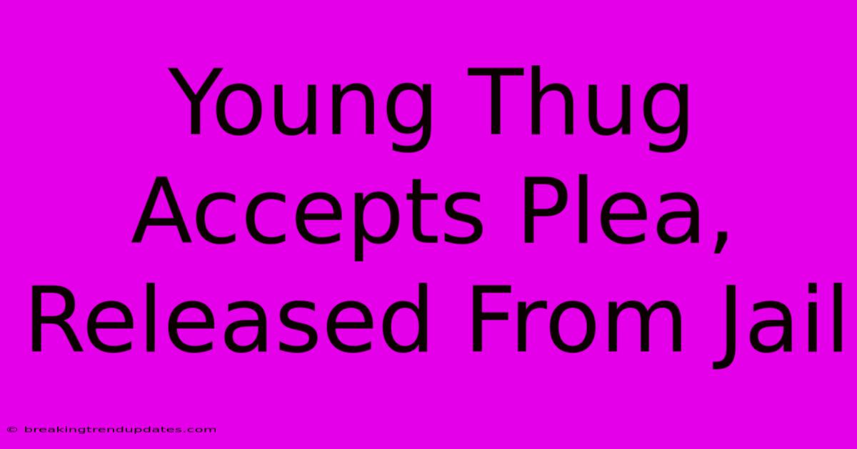 Young Thug Accepts Plea, Released From Jail Young Thug Accepts Plea, Released From Jail