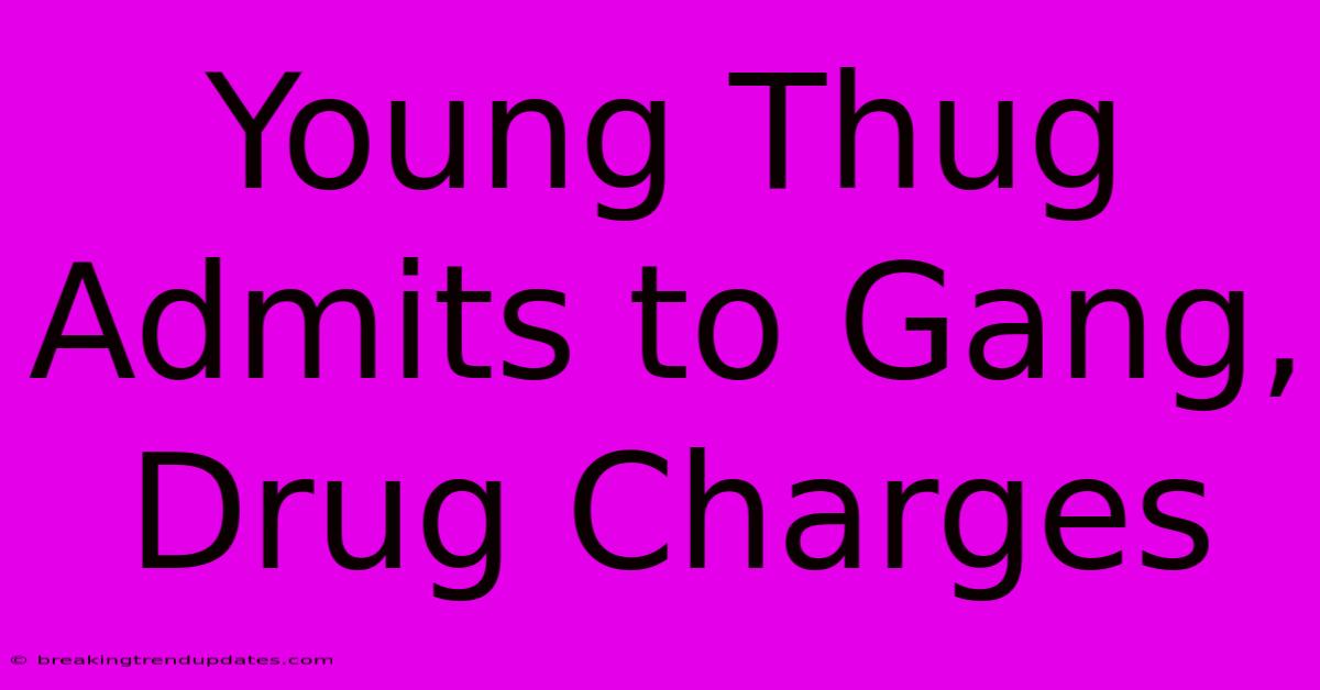 Young Thug Admits To Gang, Drug Charges Young Thug Admits To Gang, Drug Charges