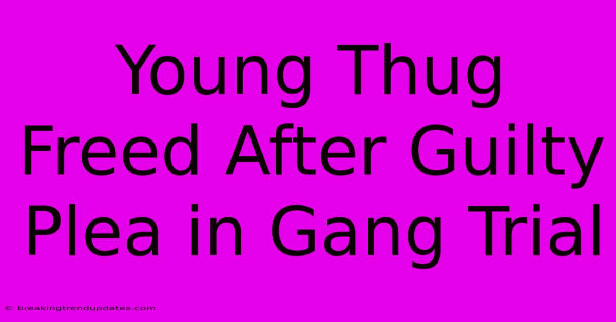 Young Thug Freed After Guilty Plea In Gang Trial Young Thug Freed After Guilty Plea In Gang Trial