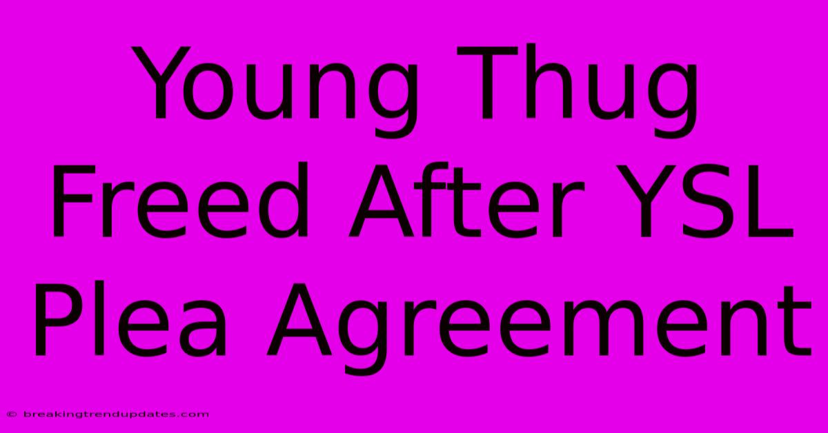 Young Thug Freed After YSL Plea Agreement Young Thug Freed After YSL Plea Agreement
